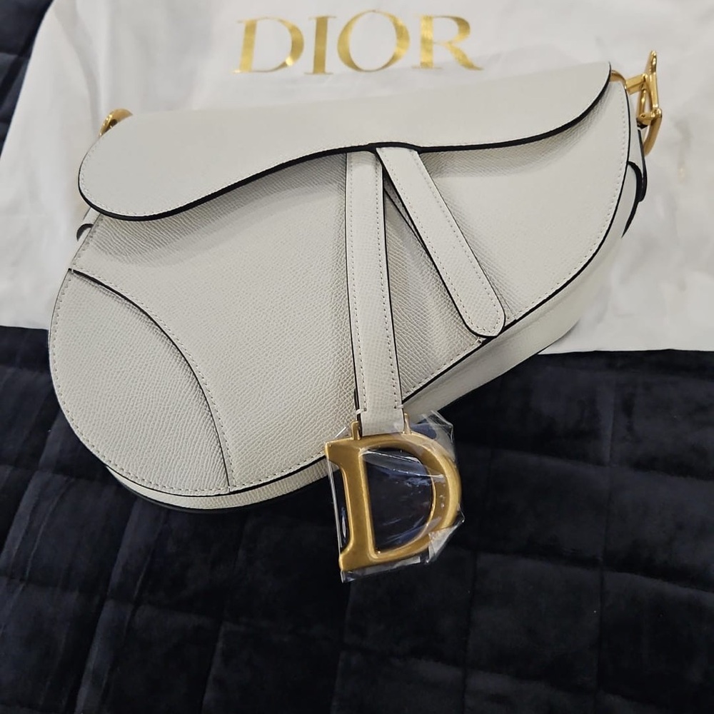 Dior Saddle Bag with Gold Accents
